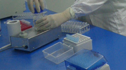 湘西DNA亲子鉴定怎样预约 湘西DNA亲子鉴定怎样预约