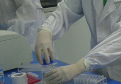 湘西亲子鉴定检验中心预约电话,湘西血缘检测需要什么材料和流程 湘西亲子鉴定检验中心预约电话,湘西血缘检测需要什么材料和流程