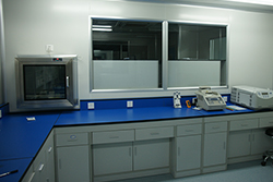 湘西个人亲子鉴定哪里能办理(附2026鉴定中心地址)