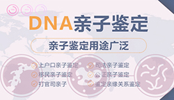 湘西司法DNA鉴定需要怎么做,湘西司法DNA亲子鉴定大概多少费用 湘西司法DNA鉴定需要怎么做,湘西司法DNA亲子鉴定大概多少费用