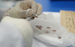 湘西血缘检测中心详细流程 湘西血缘检测中心详细流程